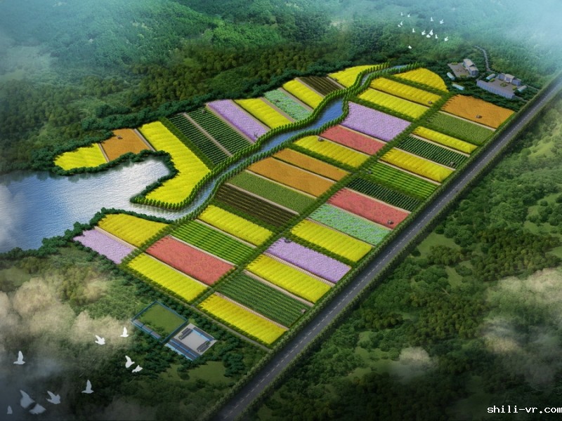 花海鸟瞰效果图